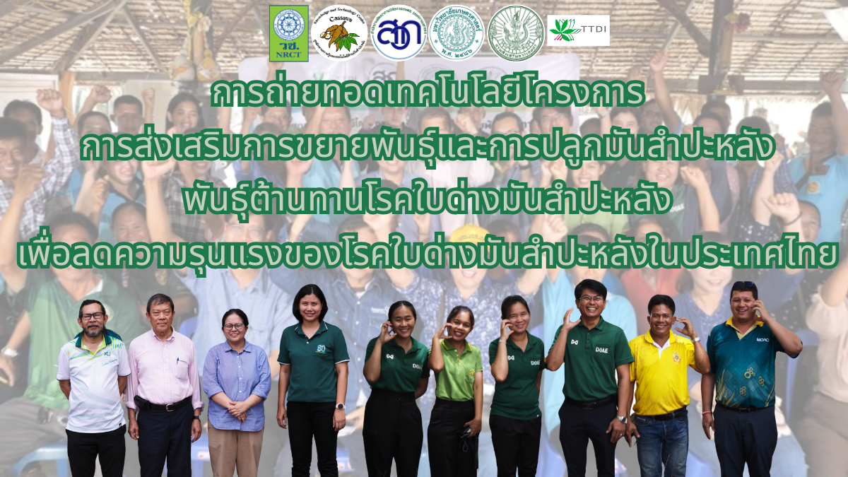 หน้าปก YouTube (1)