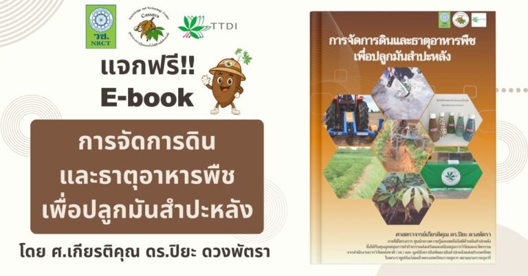 Brown and Beige Simple Salon Services Presentation