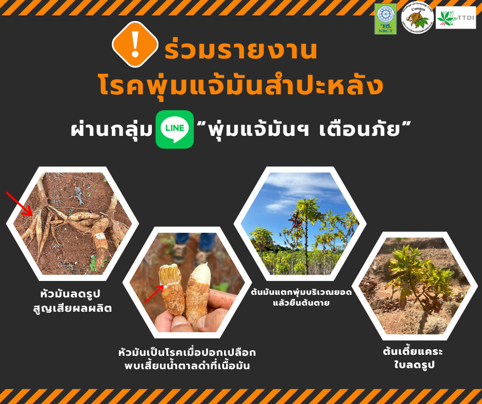 โปสเตอร์ การตอบสนองภาวะฉุกเฉินเหตุภัยพิบัติทางธรรมชาติ สีส้มและสีดำ