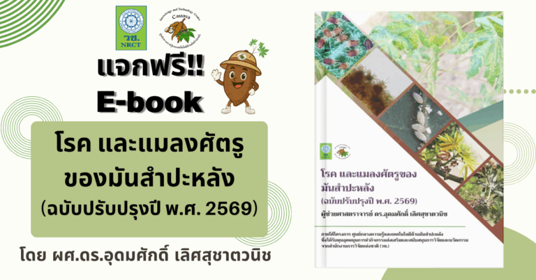 e-book (2)