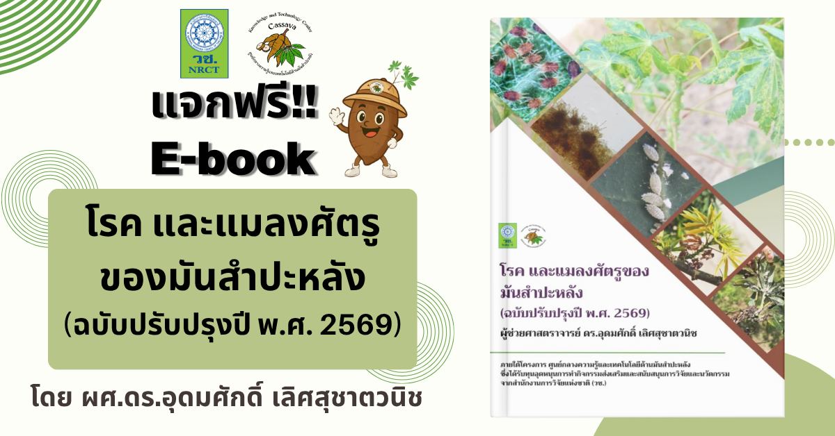 e-book (2)