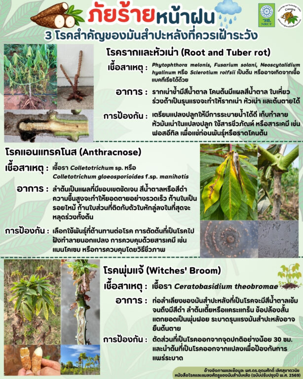 ที่มีประโยชน์ กับน้องหมา
