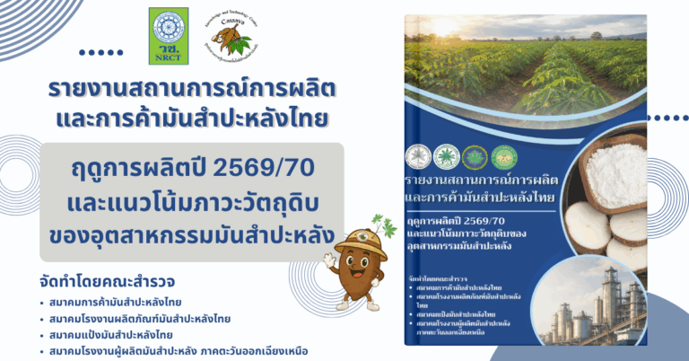 e-book (4)
